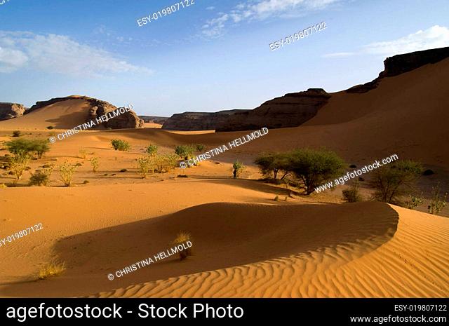 Canyon in Sandwüste