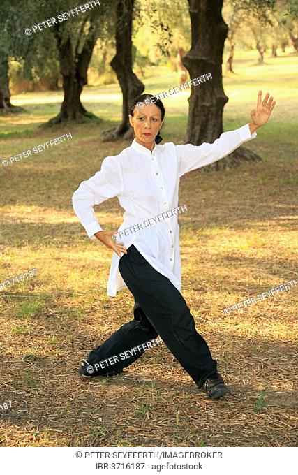 Tai Chi, demonstration in an olive grove, Régine Zanini, two-time silver medalist of the Tai Chi Championships 2012, Menton, French Riviera, Alpes-Maritimes