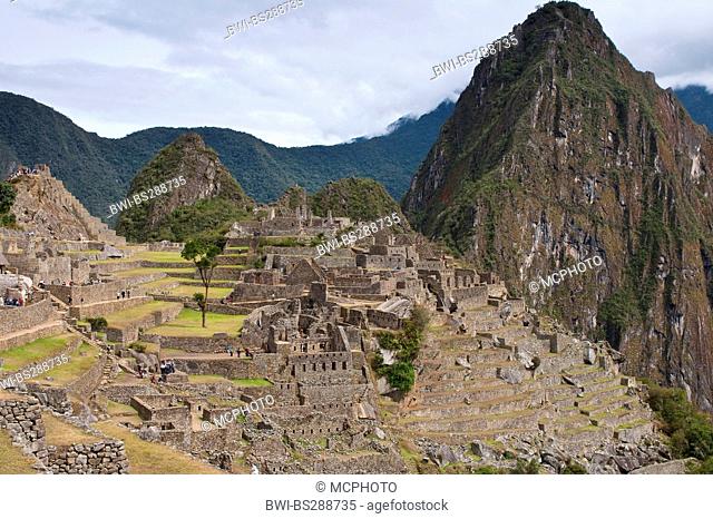 Ancient Inca ruins of Machu Picchu, Peru, Andes, Machu Picchu