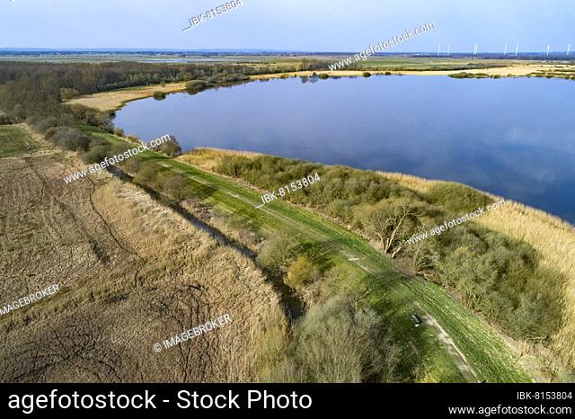 Aerial view of the southern bay of the Dümmer, reeds, Lake Dümmer, Lower Saxony, Germany, Europe