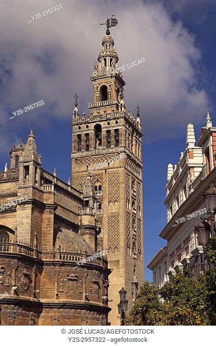 Giralda tower, Cathedral, Seville, Region of Andalusia, Spain, Europe