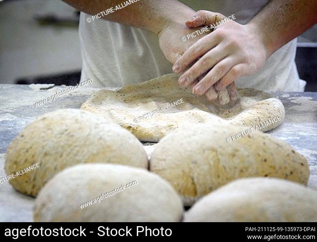 22 November 2021, Brandenburg, Oberkrämer/Ot Schwante: In the morning, a baker shapes the dough for pumpkin seed rolls on a flour-dusted countertop in the...