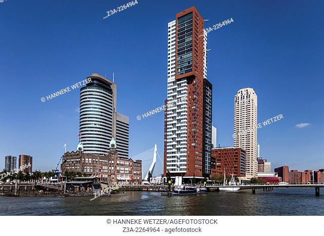 Skyline with skyscrapers in Rotterdam, Wilhelminakade, Rijnhaven, The Netherlands