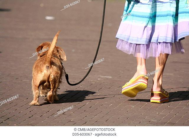 Woman with dog on leach in Amsterdam, Holland, Netherlands
