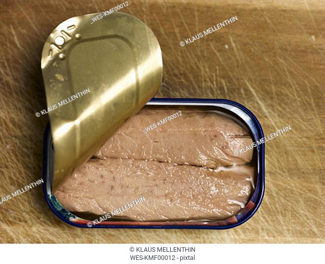 Can of tuna fish, close-up, elevated view