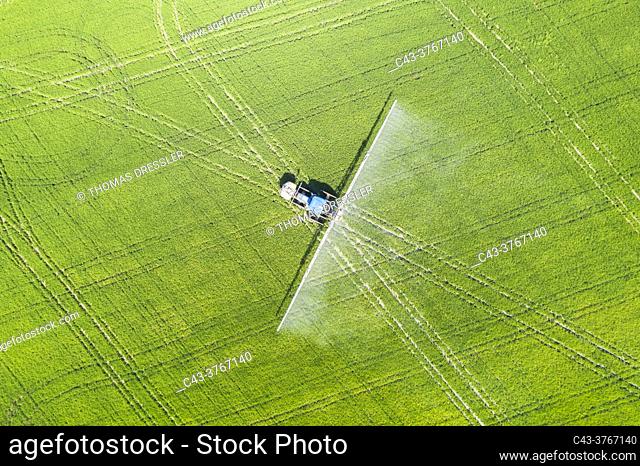 Tractor spraying fungicide onto the rice fields (Oryza sativa). In July. Aerial view. Drone shot. Ebro Delta Nature Reserve, Tarragona province, Catalonia