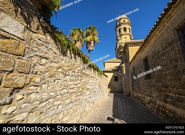 Cobbled streets at Catedral de la Natividad de Nuestra Señora. Renaissance style cathedral in Plaza Santa Maria. Baeza, Jaén province
