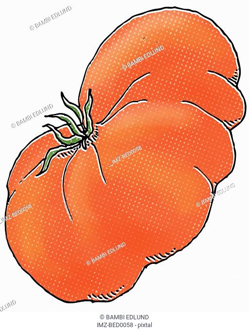 Mortgage lifter tomato