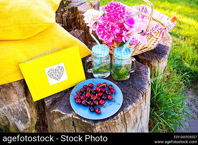 Bright and delicious picnic in nature-a healthy day
