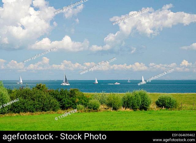 Sailing boats on the Baltic Sea near Falshöft, Geltinger Bay, Flensburg-Schleswig, Schleswig-Holstein, northern Germany, in the background: the coast of Denmark