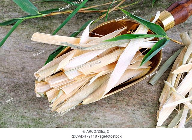 Bamboo shavings, Bambusae Caulis in Taeniam, Zhu Ru