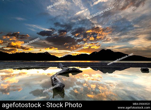 Tree trunk on the shore of Walchensee during sunset with reflection of the Bavarian Prealps, the Herzogstand and Simetsberg