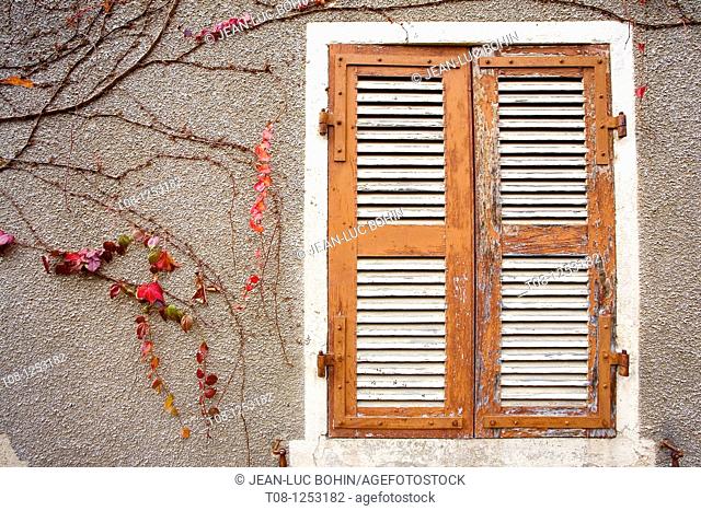 France, Burgundy, givry: shutters and ivy