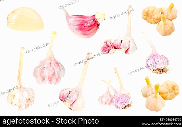 various fresh and pickled garlic isolated on white background