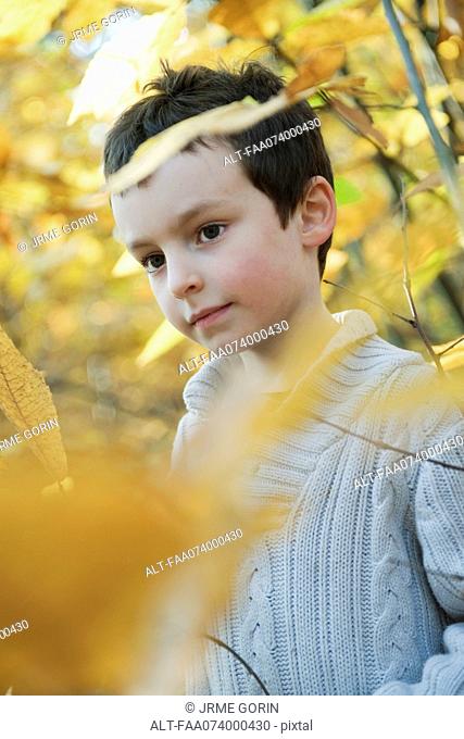 Boy in nature in autumn