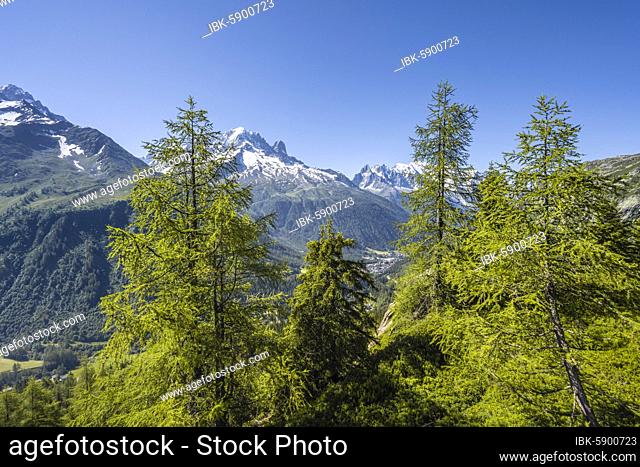 Mountain panorama from Aiguillette des Posettes, summits Aiguille Verte, Aiguille du Midi and Mont Blanc, Chamonix, Haute-Savoie, France, Europe