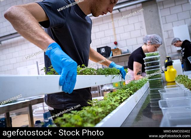 Report on shared gardens and urban agriculture in Amsterdam. This is GROWx setting up an efficient, fully robotic, AI-driven vertical farm in Amsterdam