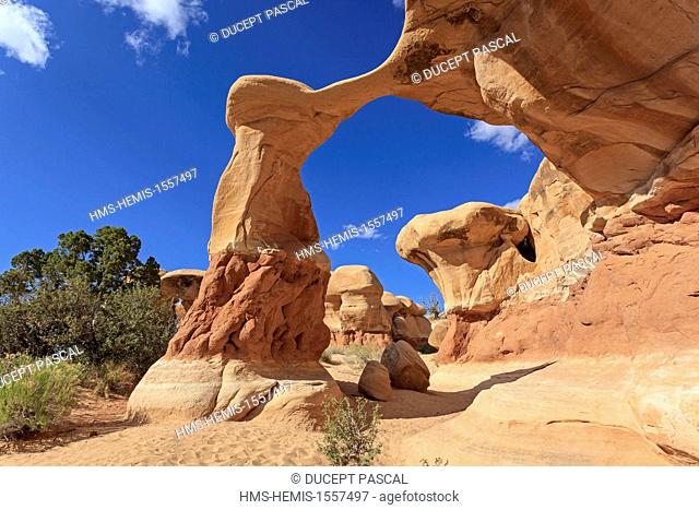United States, Utah, Colorado Plateau, Grand Staircase-Escalante National Monument, near Escalante, Devil's Garden, Metate Arch