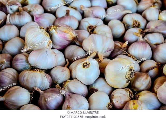 Garlic on a market place