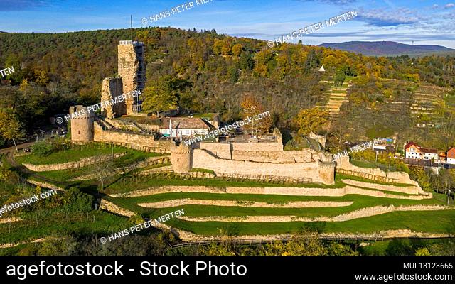 Wachtenburg castle ruins in Wachenheim near Bad Dürkheim, German Wine Route, Palatinate Forest, Rhineland-Palatinate, Germany