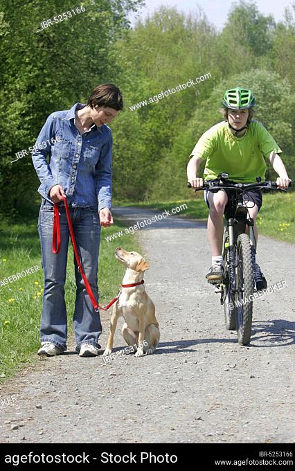 Woman with mixed-breed dog on leash and cyclist, leashed