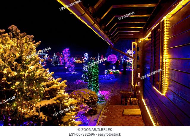 Christmas fantasy - trees and wooden house in lights