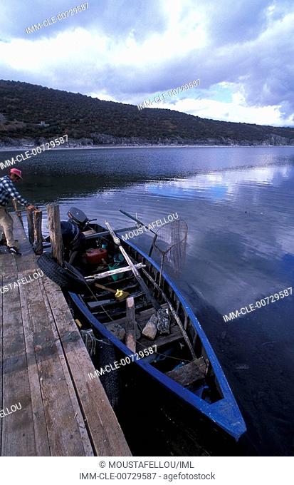 Psarades, Lake Megali Prespa, boat on the shore, Lake of Prespes, Macedonia Central, Greece