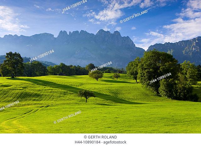 Sax, Switzerland, canton St. Gallen, Rhine Valley, meadow, trees, mountains, cross mountains, Alpstein