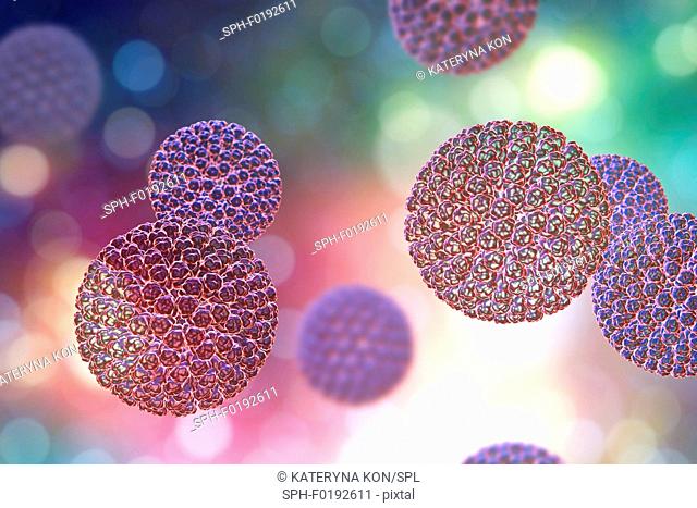Rotavirus particle, illustration