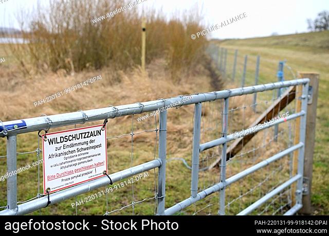 31 January 2022, Brandenburg, Schwedt/Ot Criewen: A gate marked ""Wild boar fence to contain African swine fever"" has a narrow passage between two sections of...