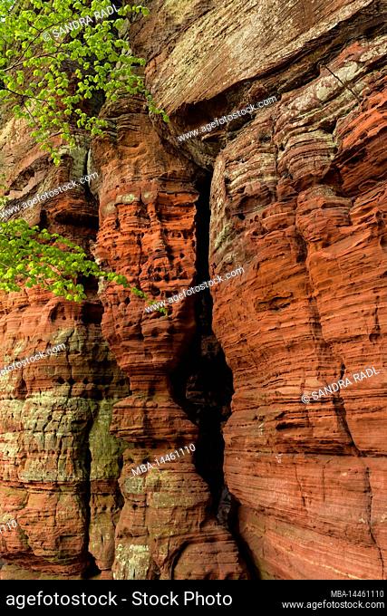 Altschlossfelsen, rock formation of red sandstone near Eppenbrunn, Pfälzerwald Nature Park, Pfälzerwald-Nordvogesen Biosphere Reserve, Germany
