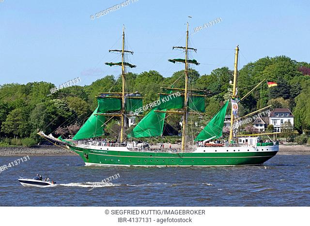 Sailing ship Alexander von Humboldt II, 826th Hamburg Harbour Anniversary, from Rüschpark, Finkenwerder, Hamburg, Germany