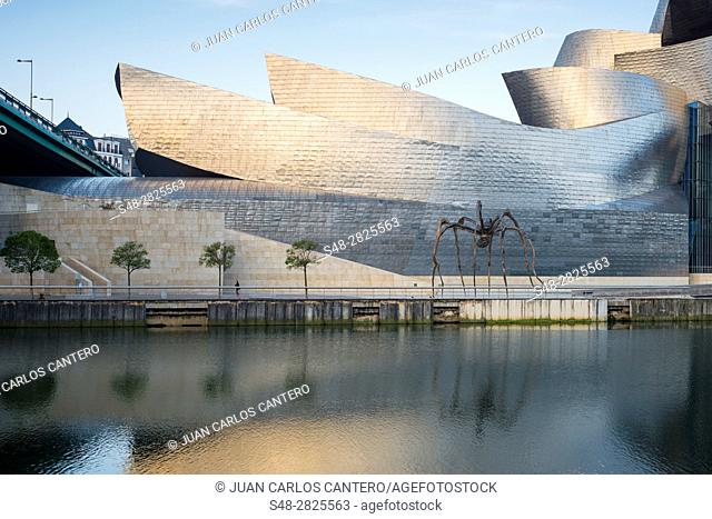 Museo Guggenheim. Bilbao. Vizcaya. Basque Country. Spain. Europe