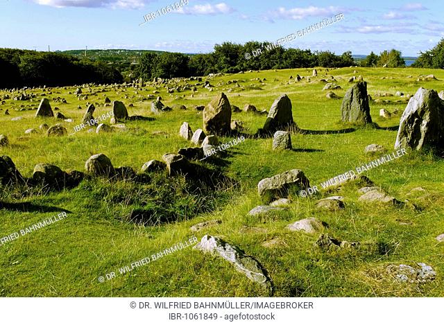 Cemetery from the Iron Age and Viking age Lindholm Hoje near Aalborg, Jutland, Denmark, Europe