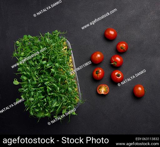Sprouted pea seeds on a black background, microgreens for salad, detox. Top view