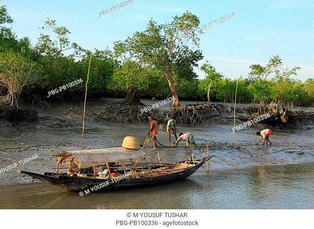 A UNESCO World Heritage Site, the Sundarbans is the largest mangrove forest in the world and lies on a delta at the mouth of the Ganges River