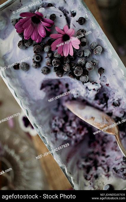 Blueberry ice-cream in dish