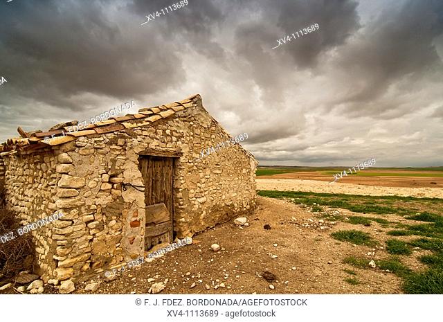 Land in Monegros spring  Aragón  Spain
