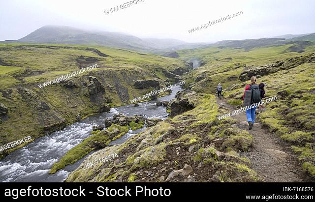 Hiker on a hiking trail, landscape at Fimmvörðuháls hiking trail, South Iceland, Iceland, Europe