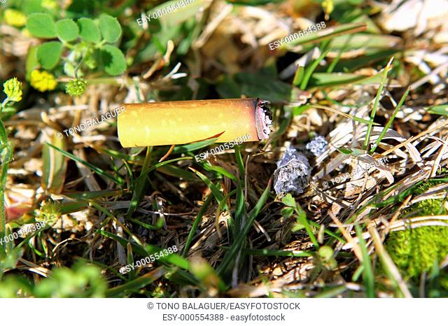 cigarette fire hazard on forest grass closeup detail