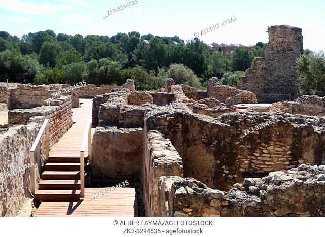 Vila romana dels Munts, Tarragona, Catalonia, Spain