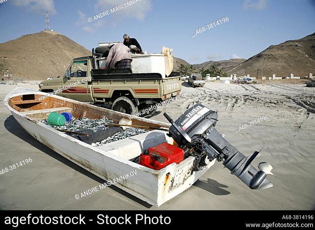 Fishermen in Oman. A large box with ice and fish loaded on a pickup