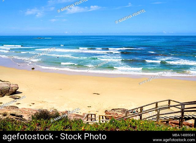 popular surfer beach, Praia do Amado, Atlantic Ocean, Carrapateira, Costa Vicentina, Algarve, Faro district, Portugal, Parque Natural do Sudoeste Alentejano e...