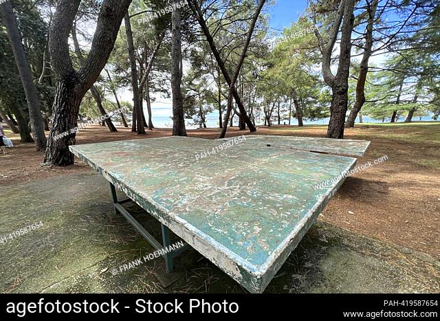 View of Porec / Istria in Croatia. Old yellowed concrete table tennis table with no net. ?. - Porec/Istrien/Kroatien