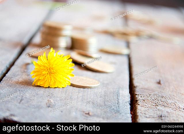coin stack on the table and yellow flower, soft focus