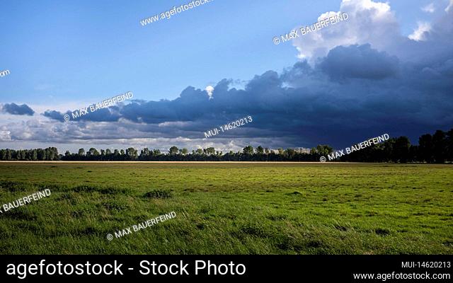 View of a meadow with uniform rows of trees and heavily clouded sky in autumn evening in Mecklenburg-Vorpommern, Germany