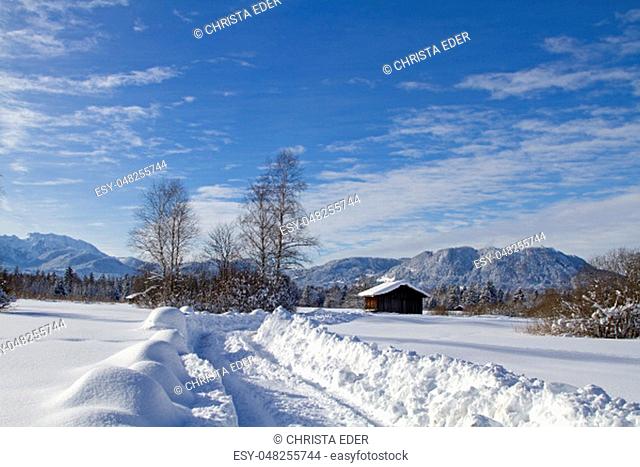 Gaissach felts in winter - an idyllic moorland in the foothills of the Alps near Bad Toelz