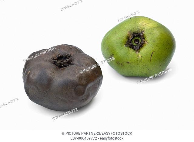 Ripe and unripe black sapote fruit on white background