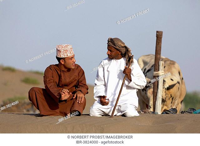 Omanis talking while sitting in traditional clothing, Barka, Al-Batinah province, Oman, Arabian Peninsula