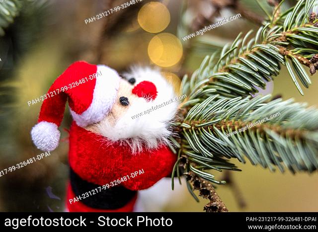 16 December 2023, Brandenburg, Leuthen: A Santa Claus figure is attached to a spruce branch hanging from a stall at an Advent market